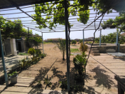 Satılır 3 otaqlı 15 m2 bağ evi Türkan