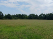 Satılır 408 sot torpaq Lənkəran