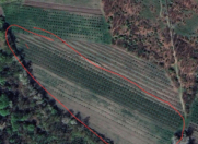 Satılır 560 sot torpaq Xudat