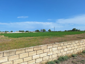 Satılır 8000 sot torpaq Neftçala