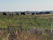 Satılır 25 otaqlı 5000 m2 obyekt Xızı