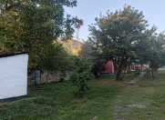 Satılır 23 sot torpaq Qəbələ