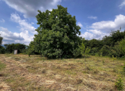 Satılır 14 sot torpaq Qəbələ