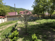 Satılır 3 sot torpaq Qəbələ