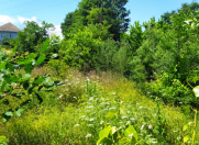 Satılır 16 sot torpaq Masallı