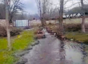 Satılır 40 sot torpaq Qəbələ