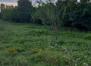 Satılır 34 sot torpaq Xaçmaz