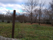 Satılır 25 sot torpaq Qəbələ