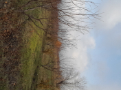 Satılır 43 sot torpaq Xaçmaz