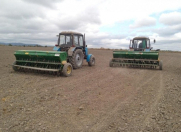 İcarəyə verilir 5000 sot torpaq Neftçala