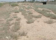 Satılır 1 otaqlı 210 m2 obyekt Hacıqabul