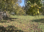 Satılır 10 sot torpaq Qəbələ