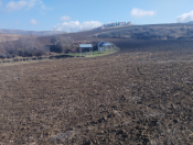 Satılır 6 sot torpaq Şamaxı