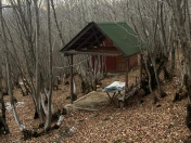 Satılır 1 sot torpaq Şamaxı