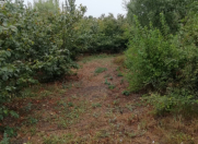 Satılır 11 sot torpaq Xaçmaz