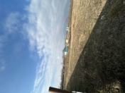 Satılır 12 sot torpaq Qəbələ