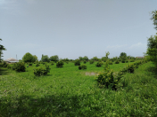 Satılır 74 sot torpaq Oğuz