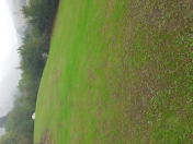 Satılır 12 sot torpaq Lerik