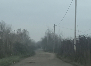 Satılır 8 sot torpaq Masallı