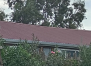 İcarəyə verilir 1 otaqlı 140 m2 obyekt Abu Arena