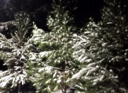 Satılır 12 sot torpaq Şamaxı