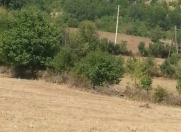 Satılır 12 sot torpaq Qusar