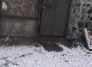 Satılır 5 sot torpaq Qax