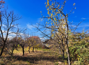 Satılır 17 sot torpaq Bərdə