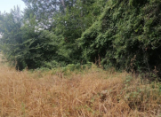 Satılır 850 sot torpaq Xaçmaz