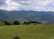 Satılır 100 sot torpaq Quba