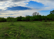 Satılır 120 sot torpaq Qəbələ