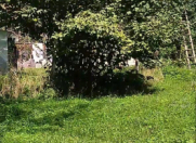 Satılır 30 sot torpaq İsmayıllı