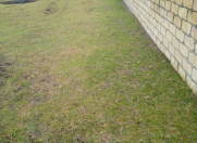 Satılır 6 sot torpaq Ağdaş