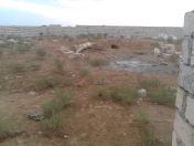 Satılır 3 sot torpaq Zabrat 1