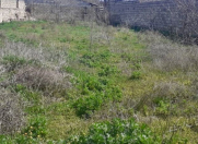 Satılır 6 sot torpaq Sumqayıt