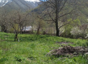 Satılır 10 sot torpaq Şəki