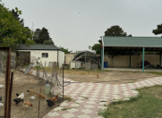 Satılır 3 otaqlı 100 m2 bağ evi Nardaran