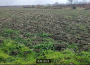 Satılır 203 sot torpaq Quba