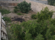 Satılır 3 sot torpaq Ramana