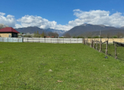 Satılır 6 sot torpaq Qəbələ