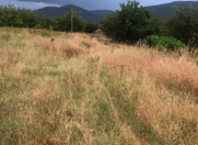 Satılır 12 sot torpaq Şamaxı