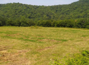 Satılır 140 sot torpaq Qəbələ