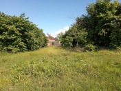 Satılır 10 sot torpaq Zaqatala