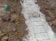 Satılır 5 sot torpaq Yevlax