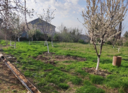 Satılır 9 sot torpaq Şabran