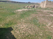 Satılır 50 sot torpaq Qobu