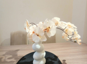 İcarəyə verilir 2 otaqlı 75 m2 yeni tikili Nəsimi r.