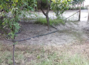 Satılır 5 sot torpaq Mingəçevir