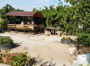 Satılır 3 otaqlı 65 m2 bağ evi Sea Breeze Resort