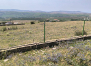 Satılır 10 sot torpaq Şamaxı